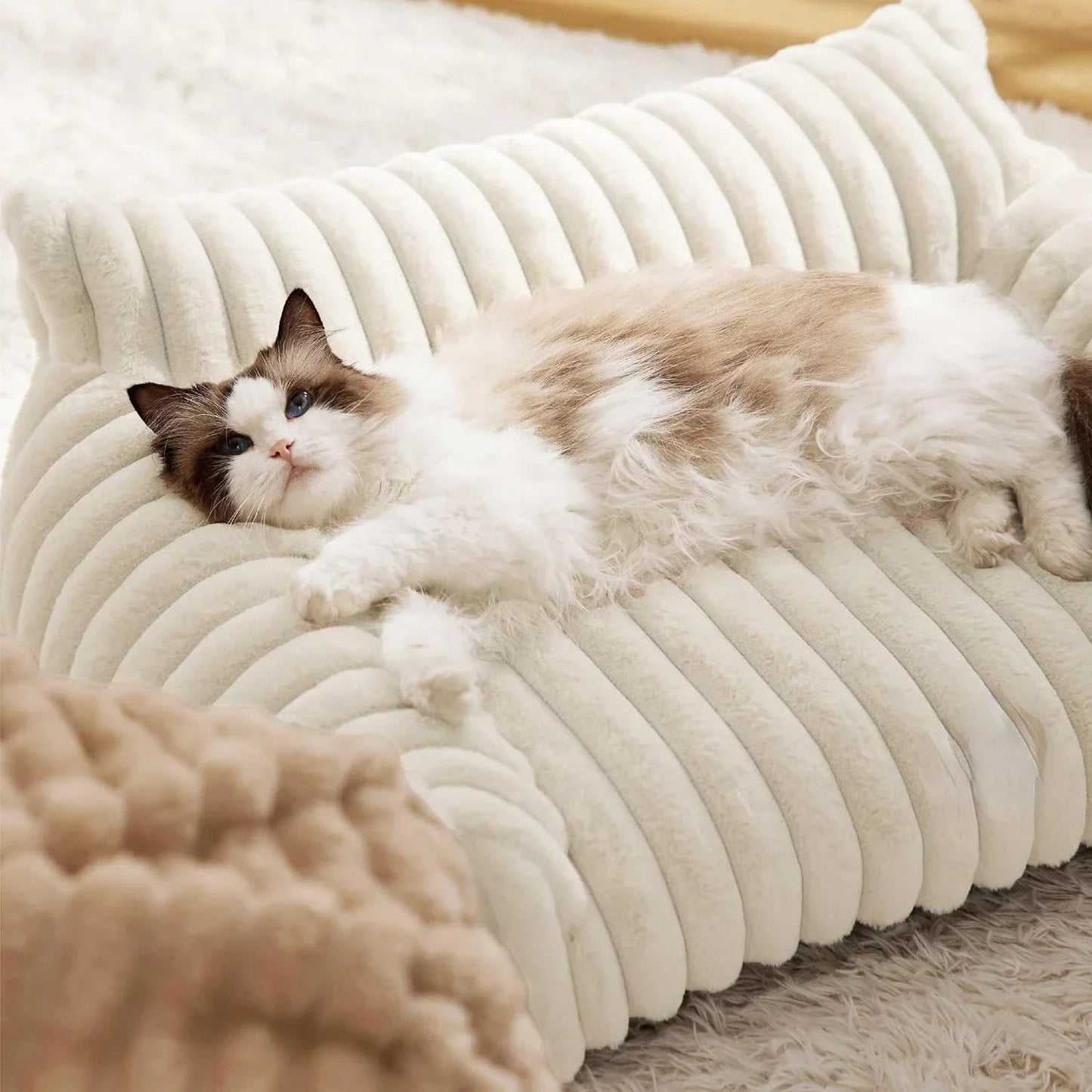 Orthopedic Pet Bed– Ultimate Back Support & Comfort for Cats & Dogs, Washable & Durable - Marizoa -