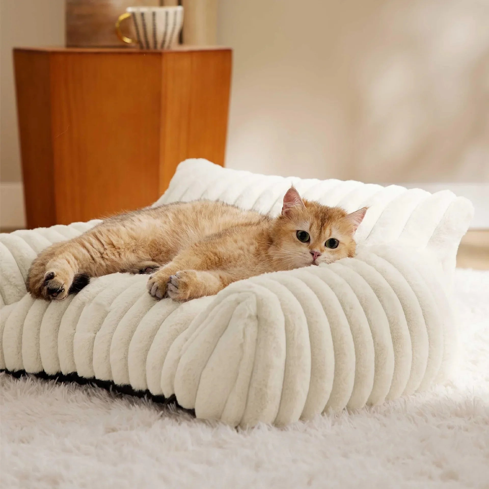 Orthopedic Pet Bed– Ultimate Back Support & Comfort for Cats & Dogs, Washable & Durable - Marizoa -